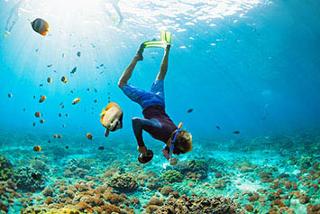 Snorkeling on the coral reefs of the Gulf of Eilat