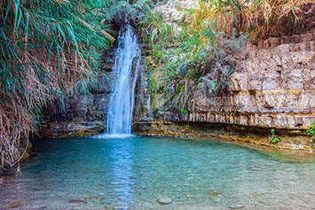  Ein Gedi desert oasis